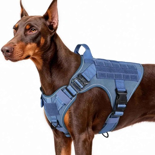 Tactical pull dog - tactical,