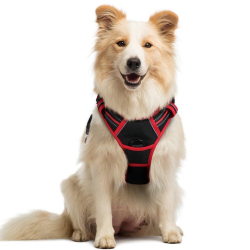 Rabbitgoo dog harness with - dog, 2