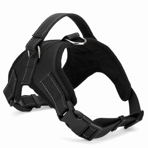 Dog harness pull - dog,