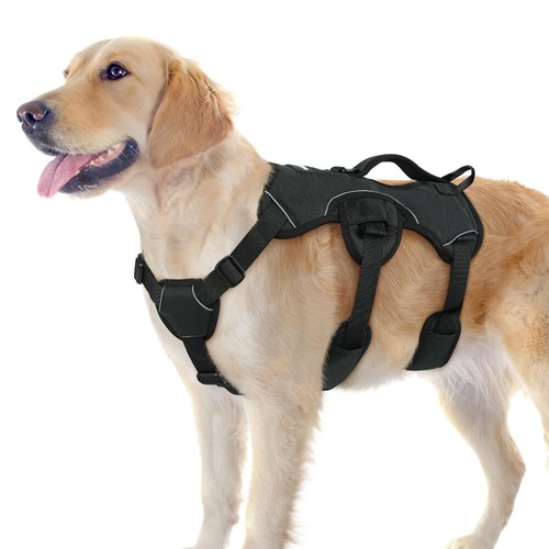 Rabbitgoo escape proof dog - rabbitgoo,
