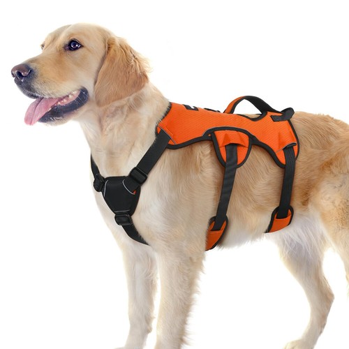 Rabbitgoo escape proof dog - escape,