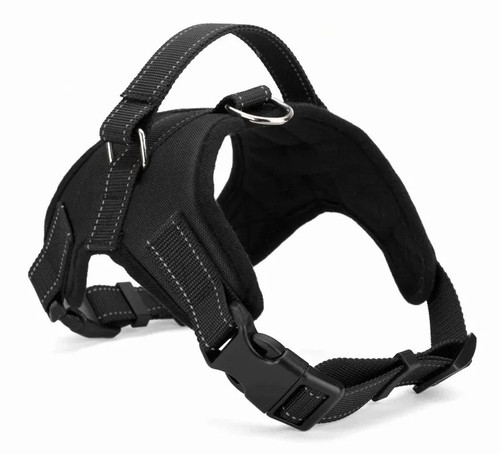 Pull dog pet - pull,